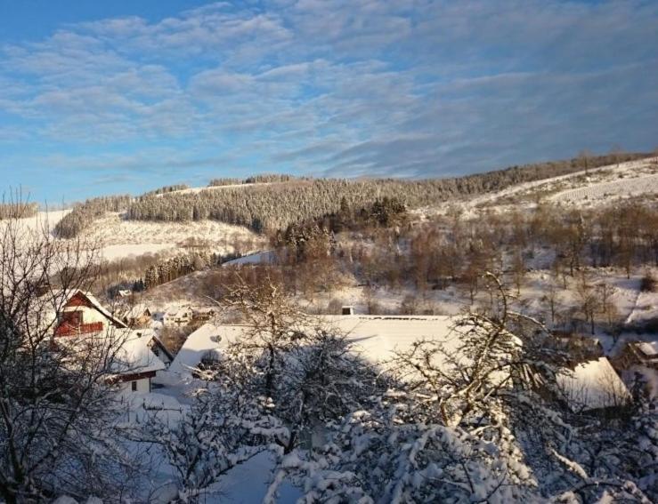 3 Sterne Ferienwohnung Pape Schmallenberg Exteriör bild
